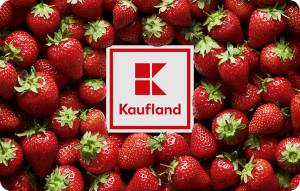 https://root.vgo-shop.com/pub/Kataloge/Katalog1/Fotos/Small/300w/Kaufland.png